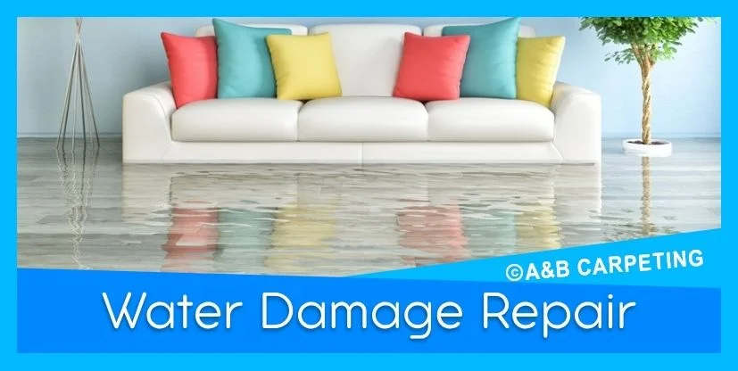Professional Water and Fire Damage Restoration